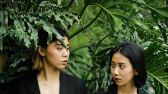 Pawsitively Caring for Special Pets