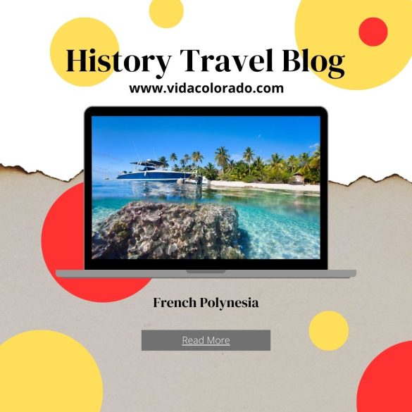 Overcoming Pet Panic: Travel Tips for Claustrophobic Companions