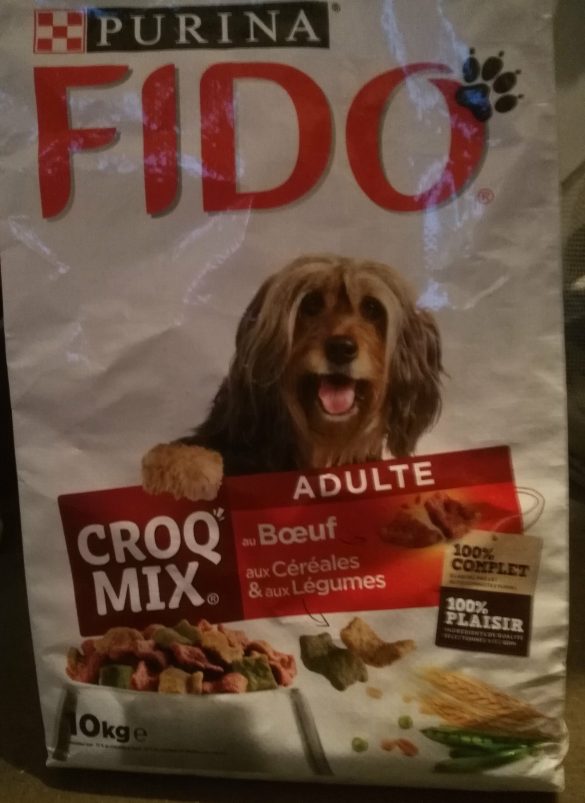 Feeding Fido: Navigating Senior Pet Nutrition
