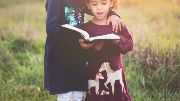 Fear No More: Tips for Socializing Your New Pet