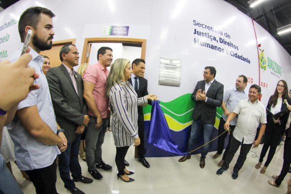 Scratch the Surface: Picking the Perfect Post for Your Purrfect Pal