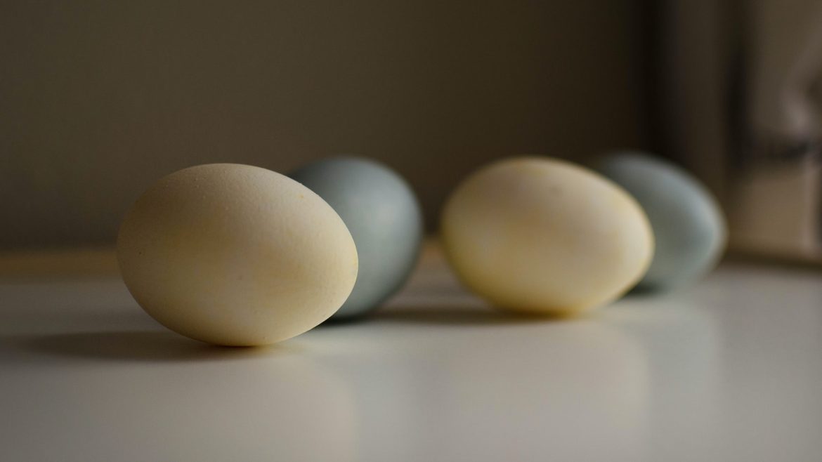 Golden Health: Turmeric for Your Pet