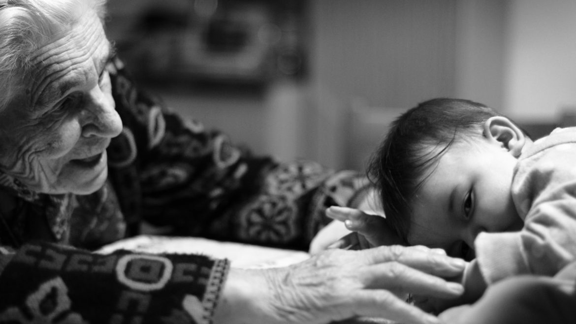 Golden Years: Vital Care for Aging Pets