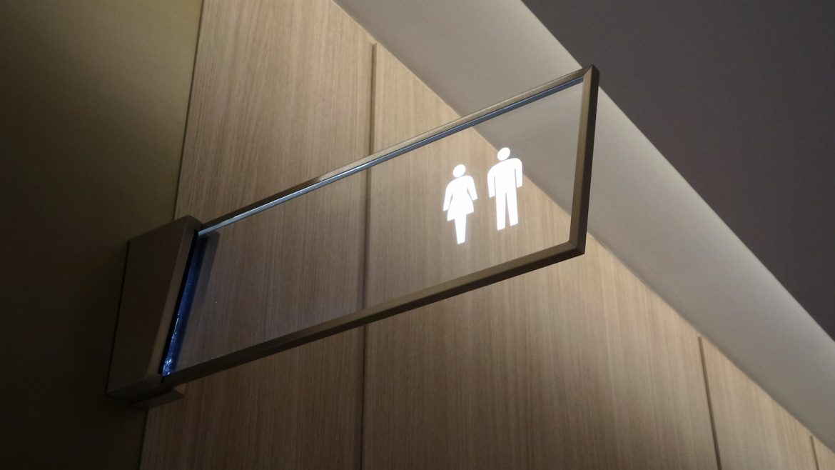 Purrfect Diets for Pets with Urinary Woes