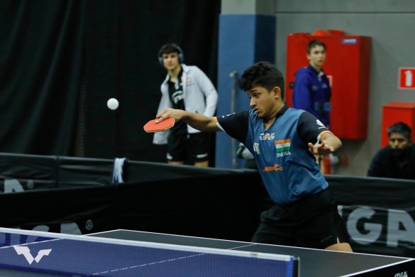 Spa Day for Fido: Expert Bathing and Drying Tips