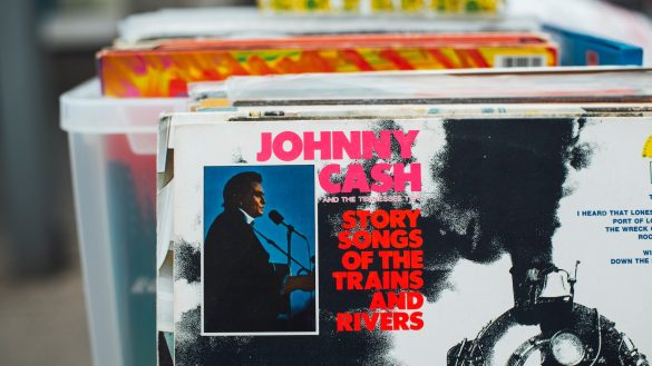 Flea and Tick Defense: Expert Tips for Pet Owners