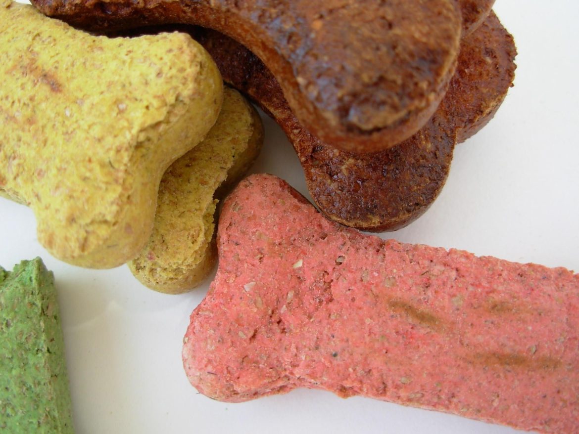 picking-purrrfect-pup-chow-a-guide-to-choosing-kitten-and-puppy-food.jpg Picking Purrrfect Pup Chow: A Guide to Choosing Kitten and Puppy Food