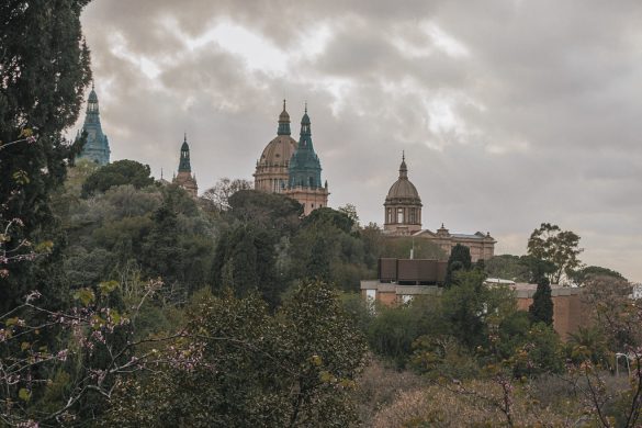 Traveling with Pets? Check for Restrictions First!