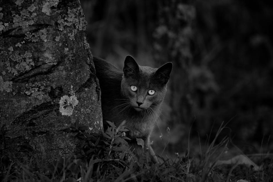 Practical Steps for Harmonizing Pet and Wildlife Interests in Parks