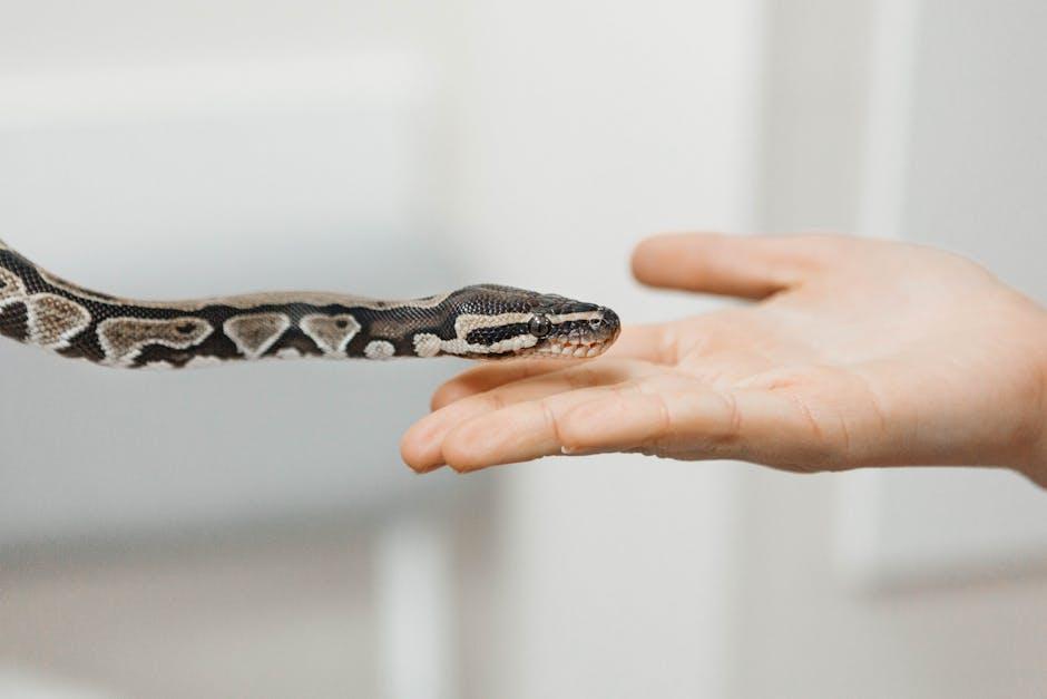 Building ‍Trust with⁣ Your Purchased Pet