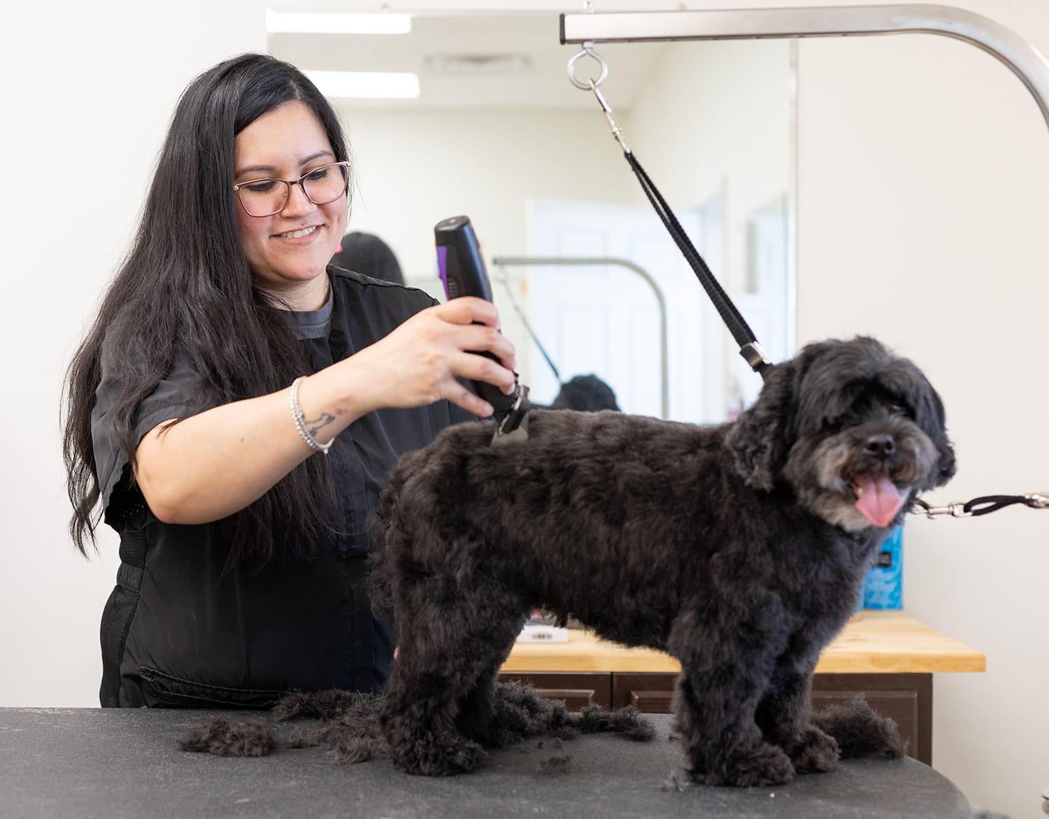 Tailoring Grooming Frequency to Your Dogs Lifestyle