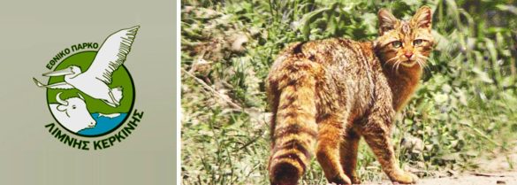 Exploring the Balance: Pets and National Park Restrictions