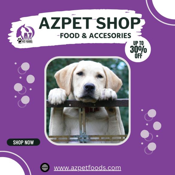 Grain vs. Grain-Free Pet Food: Key Insights for Informed Choices