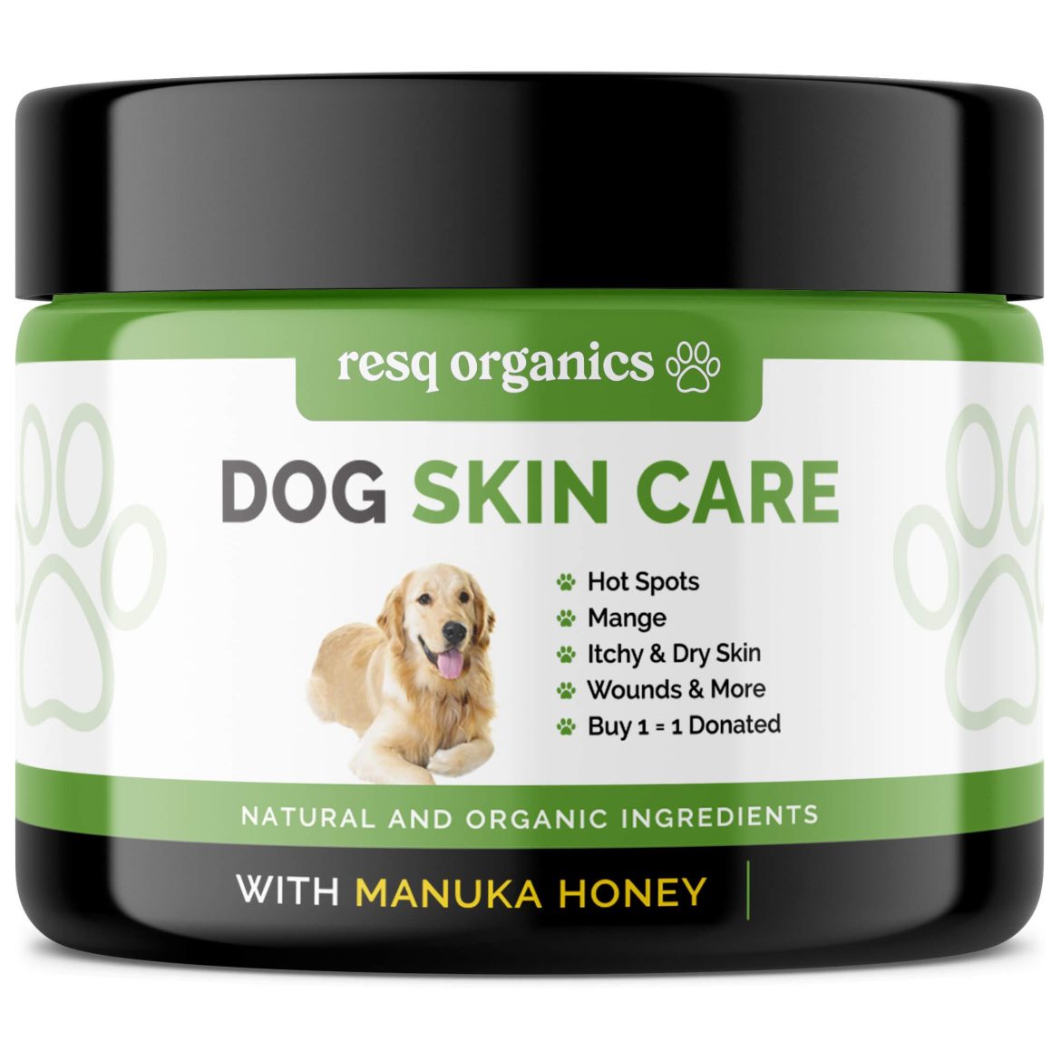nurturing-healthy-skin-diet-and-supplements-for-your-pets-glowjpg Nurturing Healthy Skin: Diet and Supplements for Your Pet’s Glow