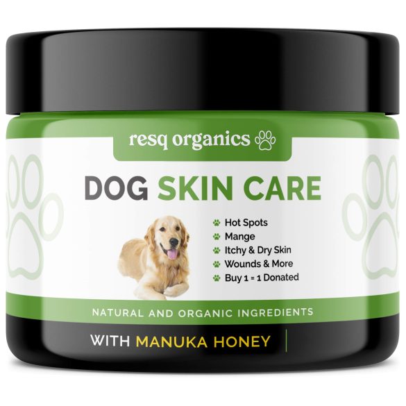 Nurturing Healthy Skin: Diet and Supplements for Your Pet’s Glow