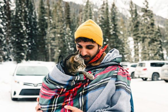 Guiding the Paws: Should Pets Be Restricted in National Parks?