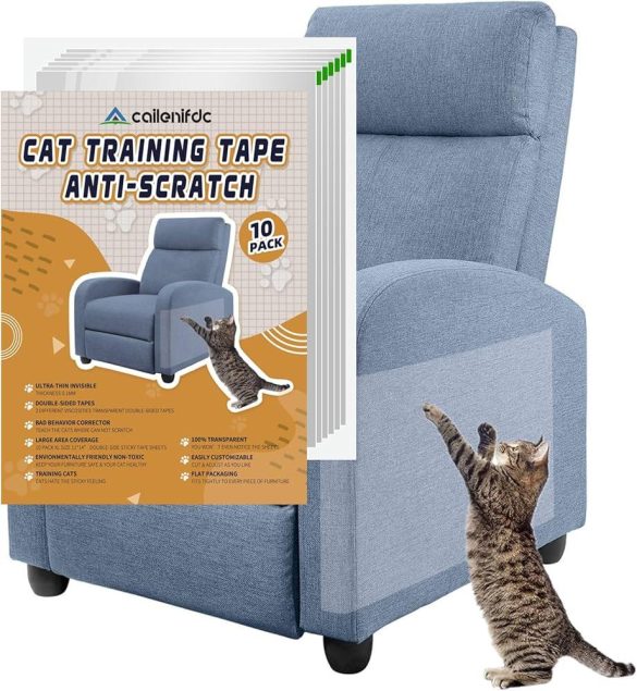 Teaching Your Pet to Respect Furniture: A Gentle Guide