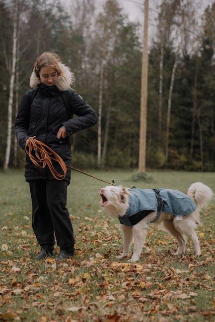 Guidelines for Pets in National Parks: Finding a Balanced Approach 8 Practical Tips for a Responsible and Fun Outing with Your Pet