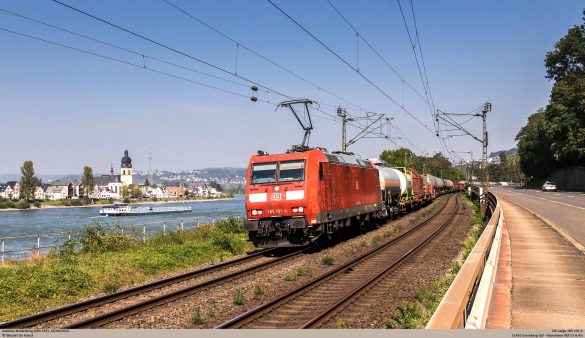 Exploring the Pros and Cons of Pet Bans in National Parks