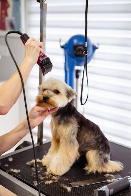 Understanding the Unique Grooming Needs of Hypoallergenic Breeds