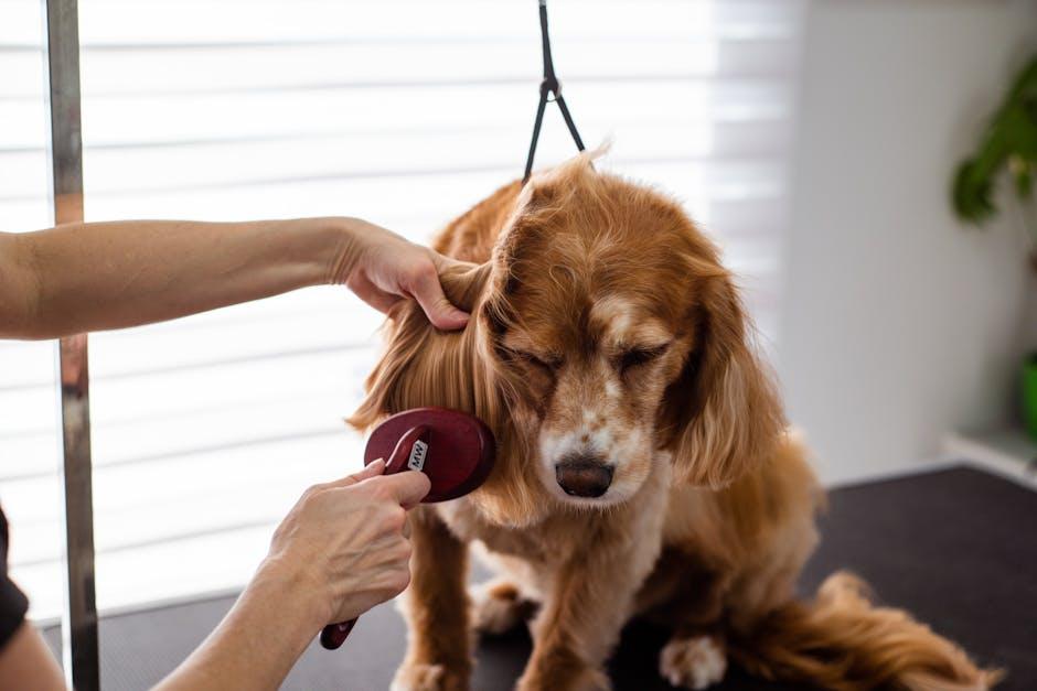 Mastering Ear and Nail Care for Happy, Healthy Dogs