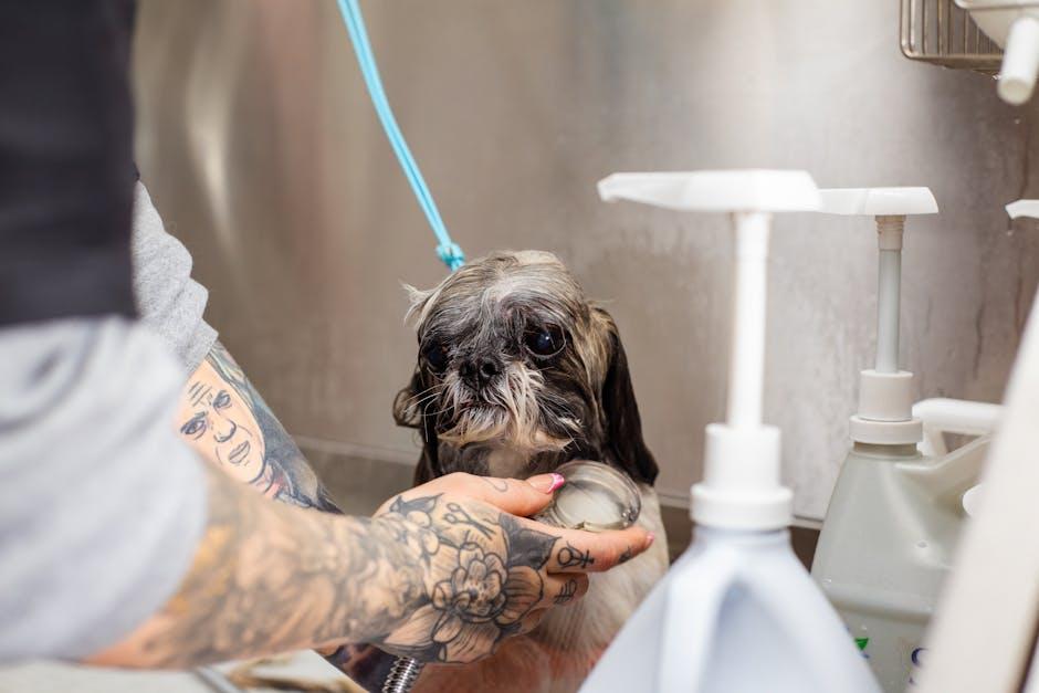 Tailoring Grooming Routines for ‌Short-Haired Breeds