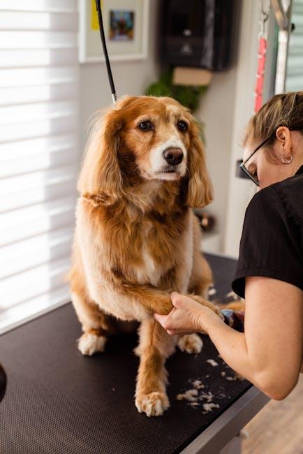 Tailored Grooming Schedules for Your Furry Friend
