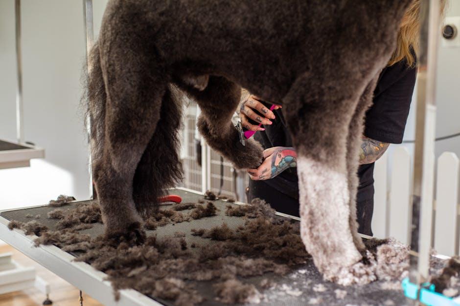 Essential Grooming Tools and Techniques for High-Maintenance Breeds