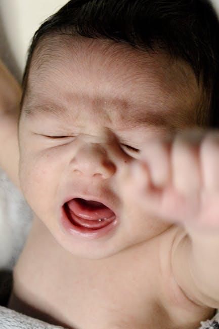 Nurturing Pet Skin Health: Diet and Supplements That Make a Difference 6 Understanding the Basics of Pet Skin Health