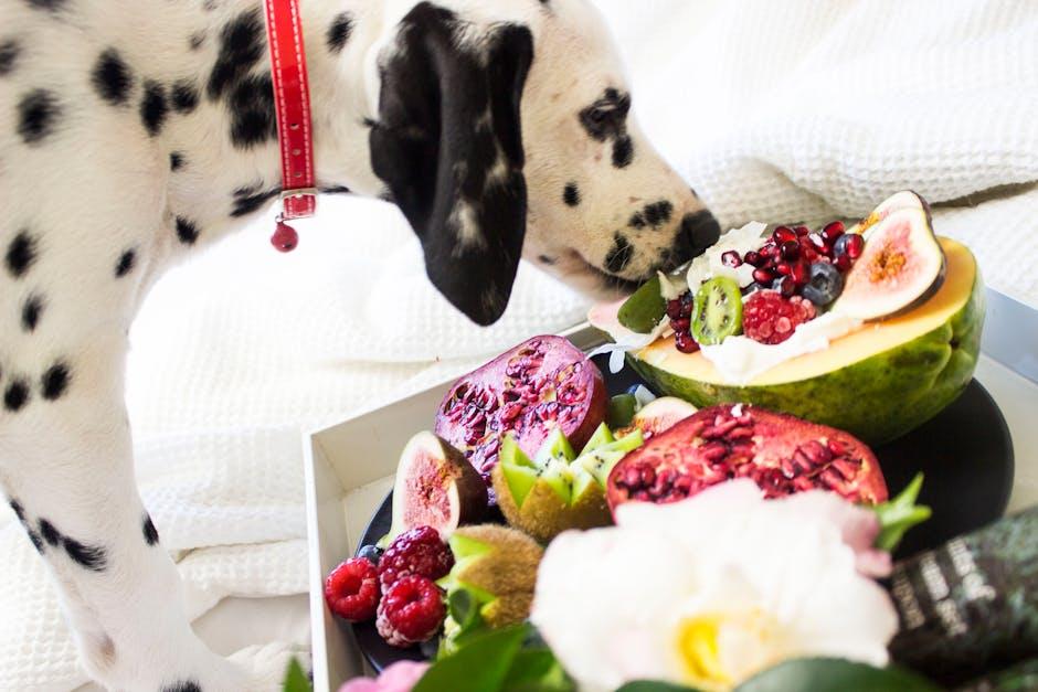 Making the Best Choice: Tailoring Diet to Your Pets Health