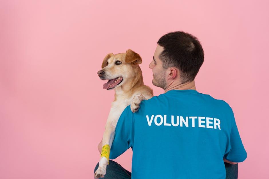 Building Trust and Bonding with Your Rescue Pet