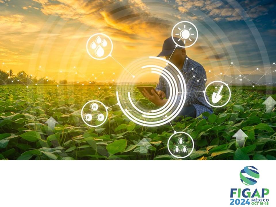 Adapting to a New Home: Unique Challenges Faced by⁣ Rescue Pets