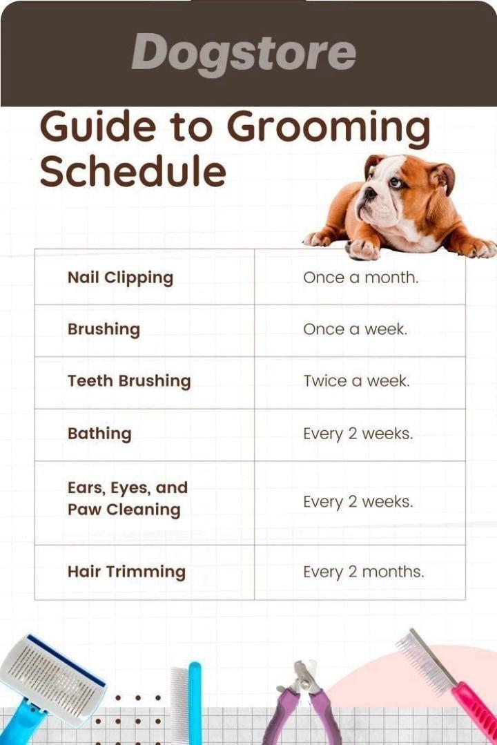 Tailored Grooming Schedules for Different Breeds