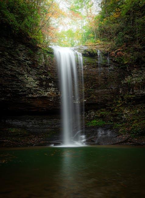 Grain vs. Grain-Free Pet Food: Key Insights for Your Furry Friend 6 Is Grain-Free the Right Choice for Your Pets Health?