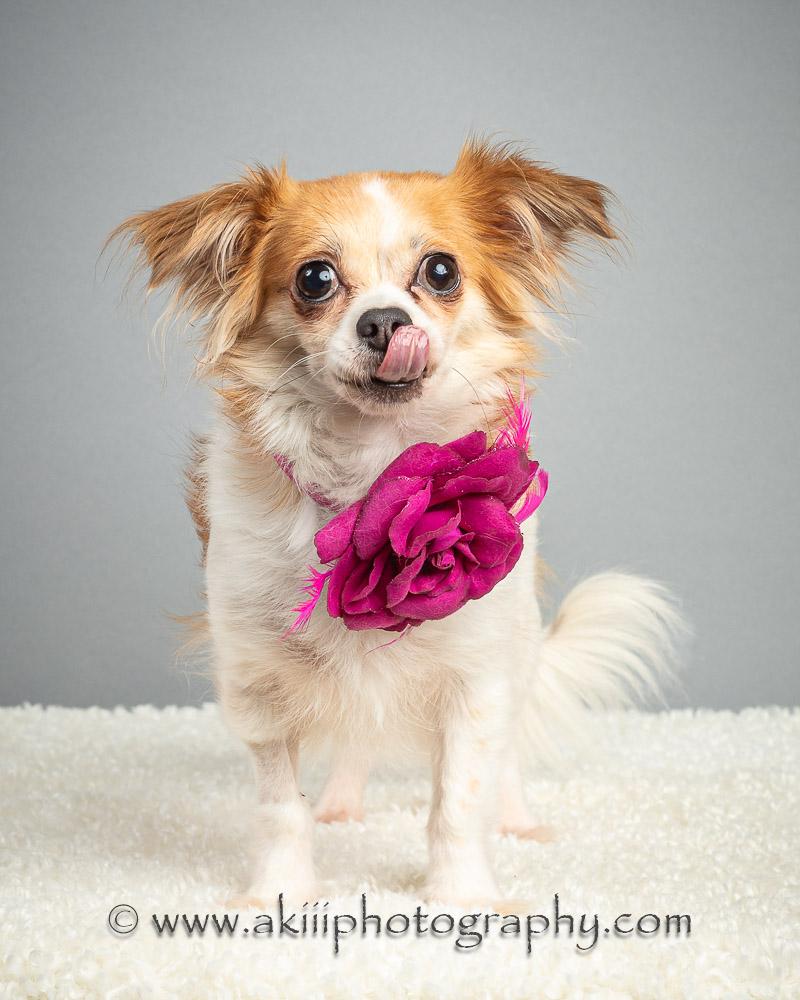 Building Trust and Overcoming Past Trauma