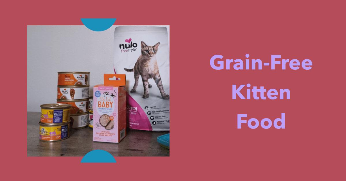 Choosing the Right Diet for Your Pets Unique Lifestyle