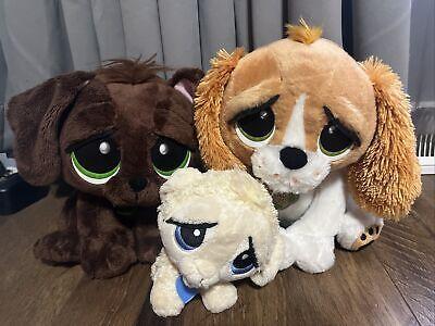 Practical Tips for Integrating Rescue Pets ⁤into ‌Your ‌Home